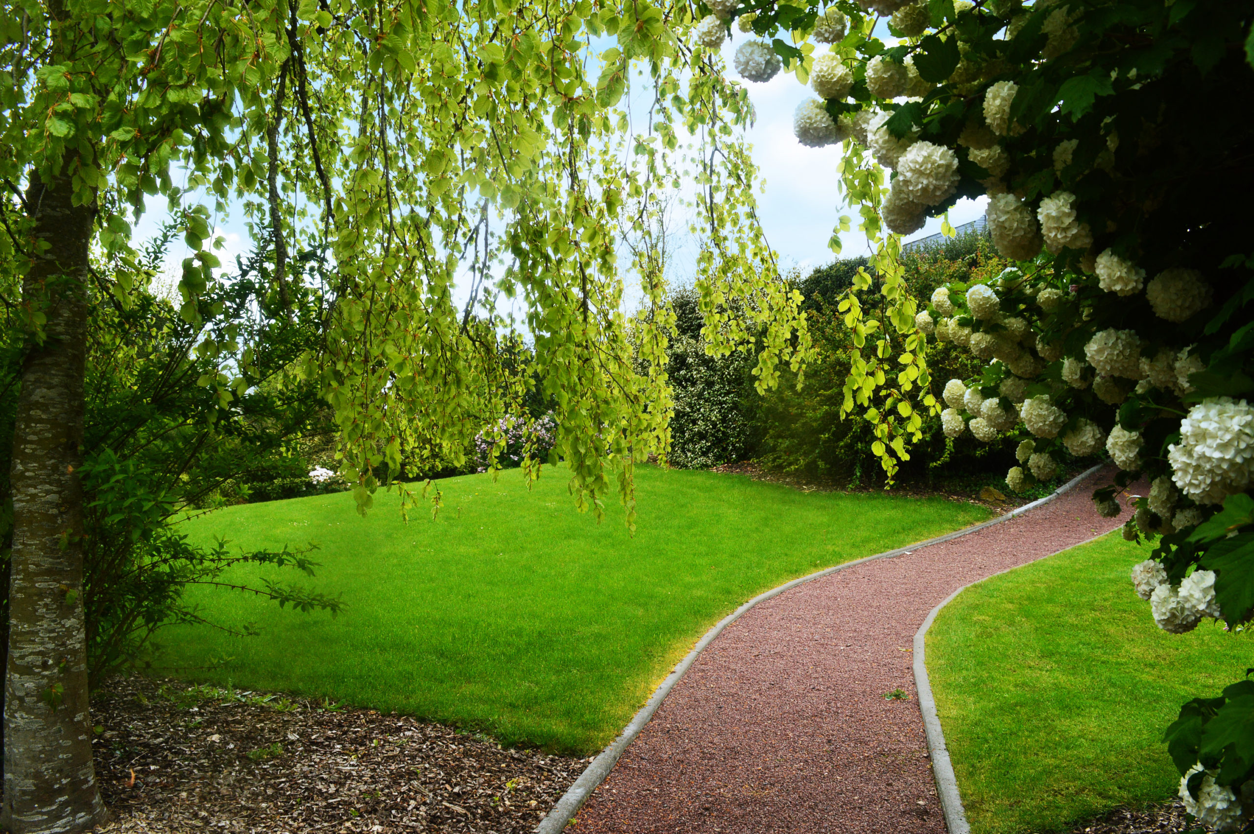 entretien de jardin Clean Paysage