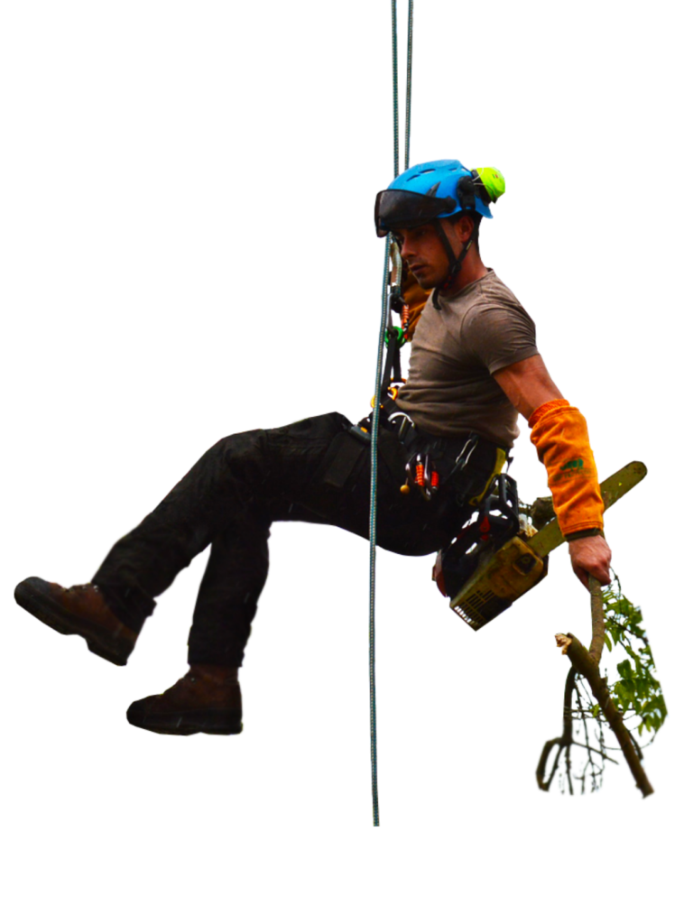 Elagage_Man_02