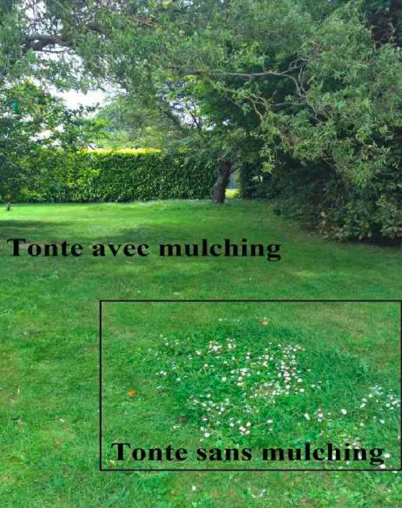 Connaissez-vous le MULCHING
