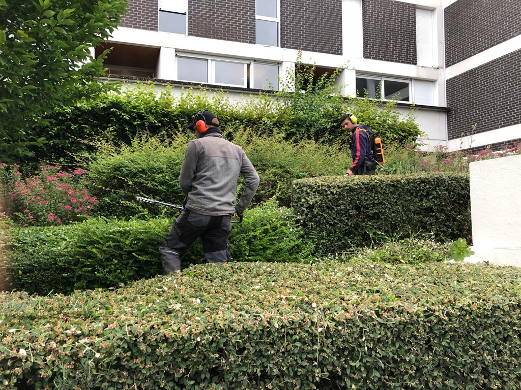 Entretien_CleanPaysage_CAEN