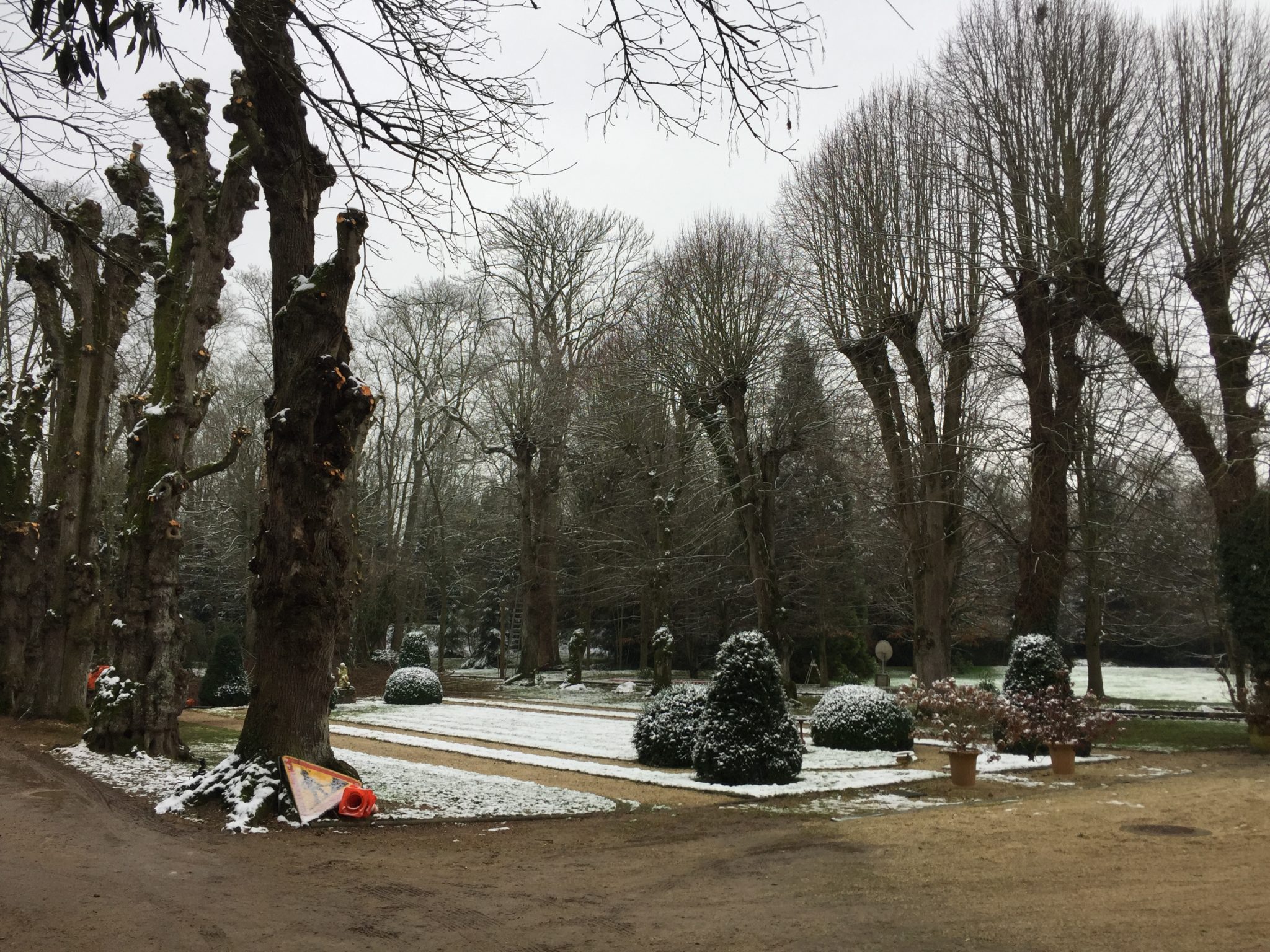 taille sévère_Cleanpaysage