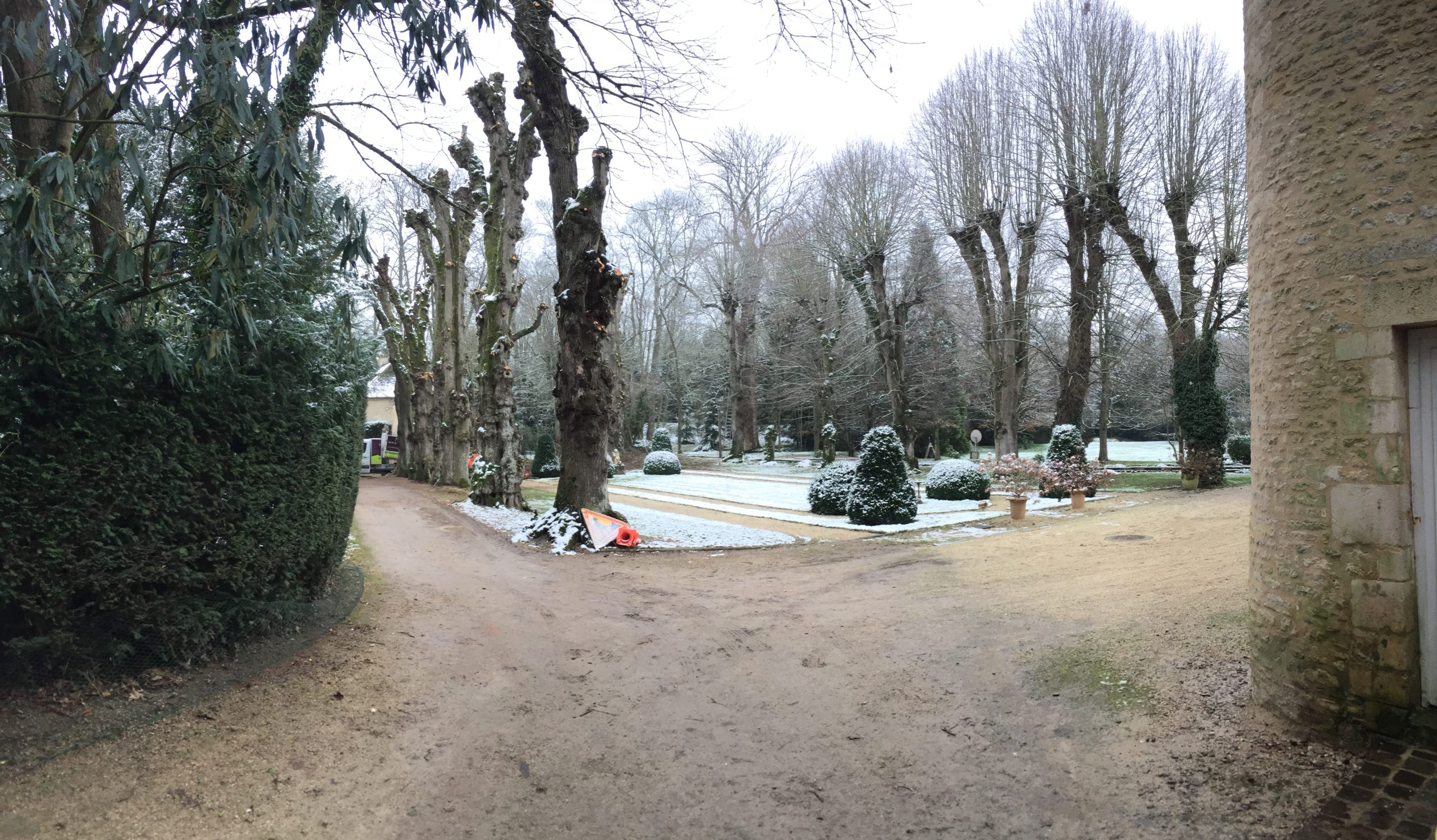taille sévère_Cleanpaysage