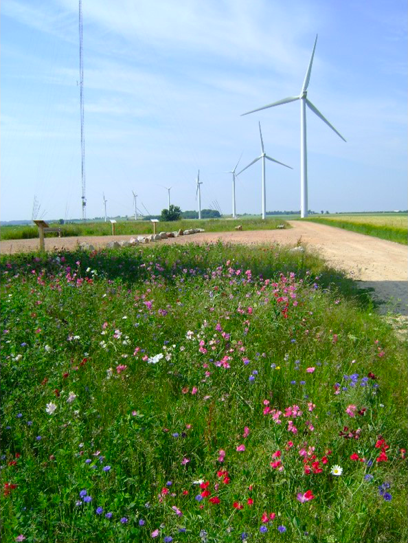 eolienne